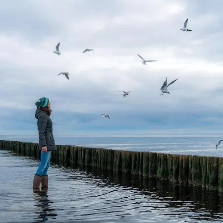 Seeschwalbe Whg Sew15 Apartamento Boltenhagen (Ostseebad)